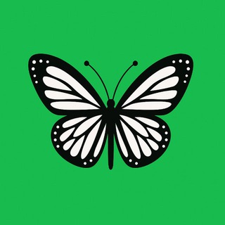 Astrologer New Vidvan image